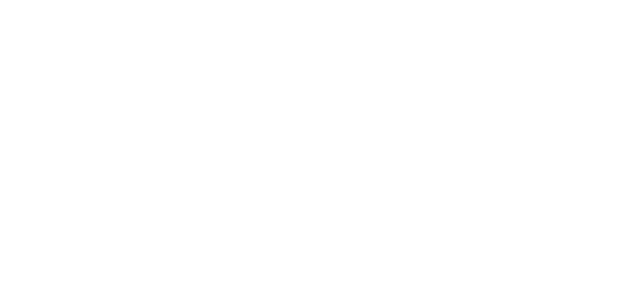 Lonestar AG Logo White