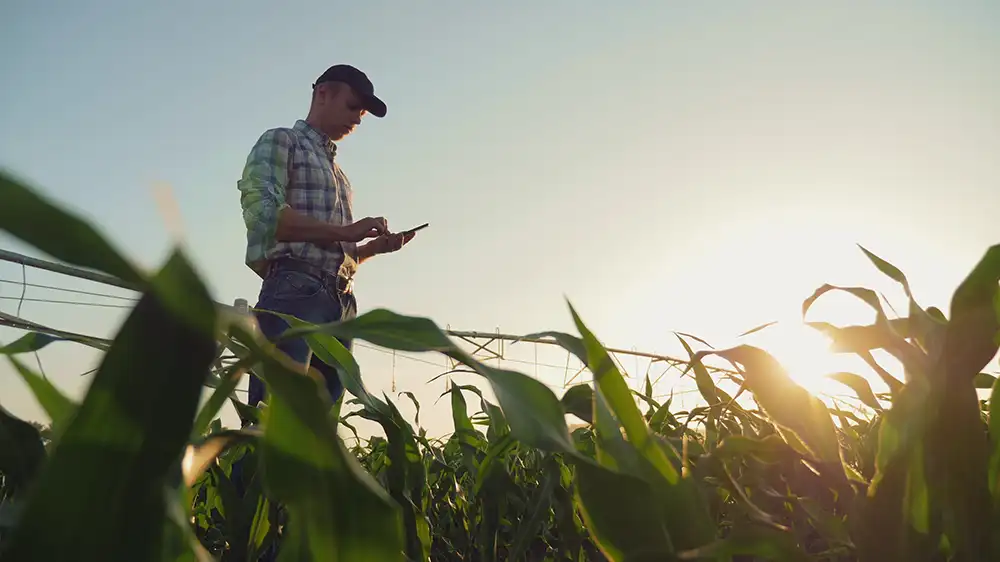 AG Financing
