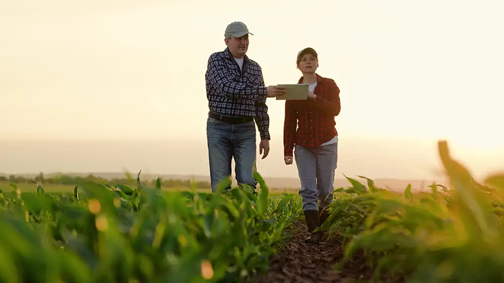 AG Financing Solutions