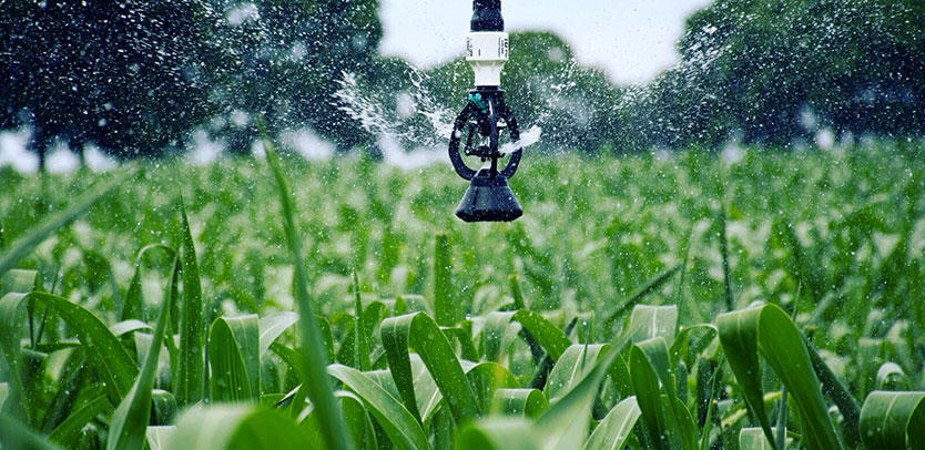 Senninger Sprinkler